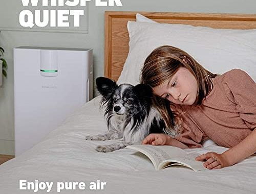Amazon.com: HATHASPACE Smart Air Purifier 2.0 for Home Large Room with True HEPA Air Filter for Alle