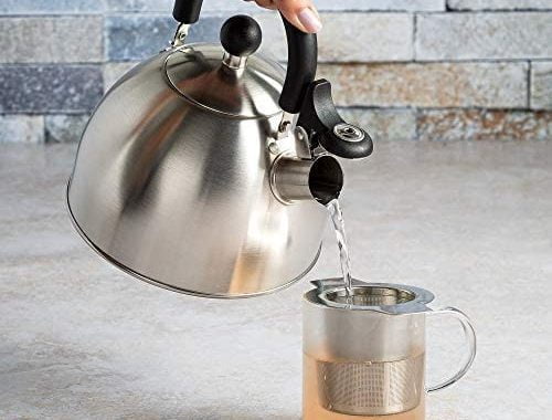 Primula Stewart Whistling Stovetop Tea Kettle Food Grade Stainless Steel, Hot Water Fast to Boil, Co