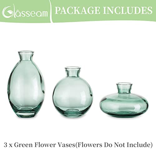 Amazon.com: Glasseam Green Glass Bud Vase, 3Pcs/Set Modern Decorative Small Mini Flowers Vases Short