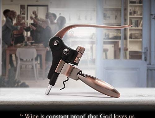 Amazon.com: Wine Bottle Opener Corkscrew Set – Luxiluxy [2023 upgraded, does NOT break!] Including F