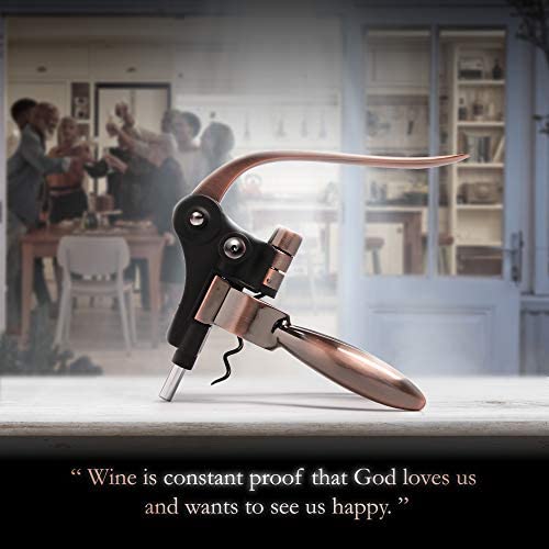 Amazon.com: Wine Bottle Opener Corkscrew Set – Luxiluxy [2023 upgraded, does NOT break!] Including F