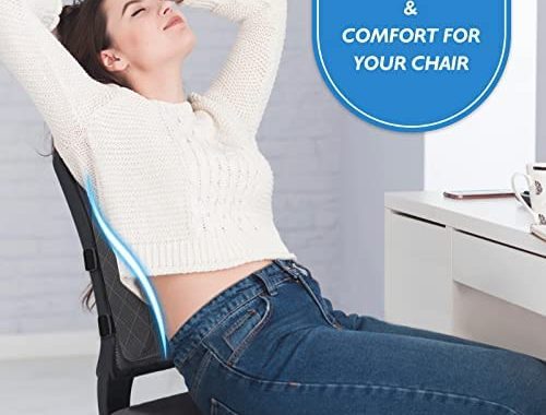 Amazon.com: LumbarPal Lumbar Support Pillow for Office Chair Back Support Lumbar Pillow for Car, Gam