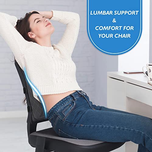 Amazon.com: LumbarPal Lumbar Support Pillow for Office Chair Back Support Lumbar Pillow for Car, Gam
