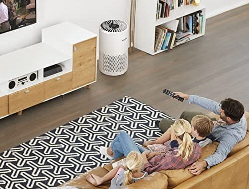 Amazon.com: Okaysou 4 Optional Filters Air Purifier for Home Large Room, Covers up to 1320 Sq.Ft, 5