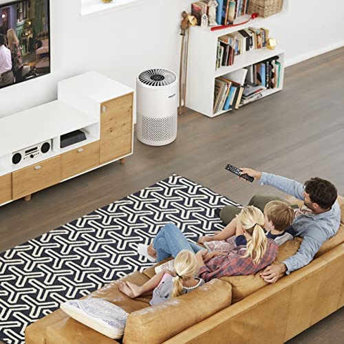 Amazon.com: Okaysou 4 Optional Filters Air Purifier for Home Large Room, Covers up to 1320 Sq.Ft, 5