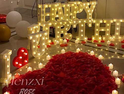 Henzxi 1000 Pcs Dark Red Rose Petals, Artificial Flower Petals, for Romantic Night, Wedding, Event,