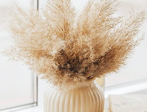 30 PCS Boho Decor, Fluffy Pompas Grass, Natural Dry Pampas Grass Small, Short Pampass Bulk for Boho