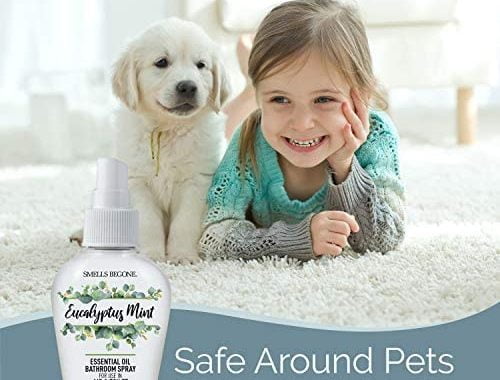 Amazon.com: SMELLS BEGONE Essential Oil Air Freshener Bathroom Spray - Eliminates Bathroom & Toi