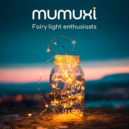 MUMUXI LED Fairy Lights Battery Operated String Lights [20 Pack], 3.3ft 20 Mini LED Lights Battery P