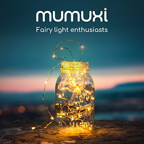 Amazon.com: MUMUXI LED Fairy Lights Battery Operated String Lights [12 Pack] 7.2ft 20 Battery Powere