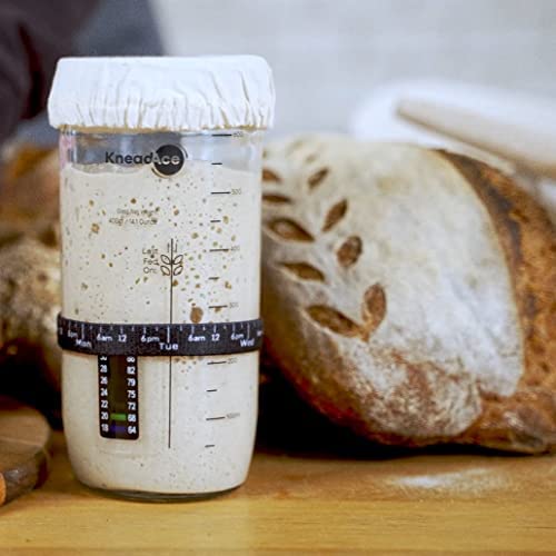 KneadAce Sourdough Starter Jar With Date Marked Feeding Band, Thermometer, Sourdough Jar Scraper, So