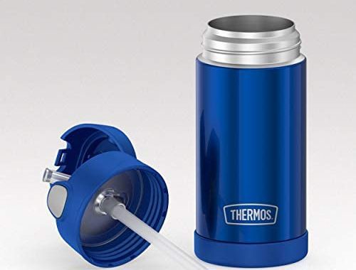 Amazon.com: Thermos Replacement Straws for 12 Ounce Funtainer Bottle, Clear, one size (F401RS6) : Ho