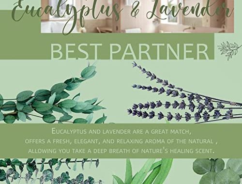 Amazon.com: POMPAPA Small Eucalyptus & Lavender Mix Bouquet Flowers Bundle for Shower | Natural