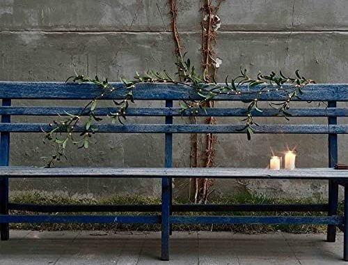 Amazon.com: Fudios Lighted Olive Garland Battery Operated with Timer 96 LED Fairy Lights 6ft, Mantle