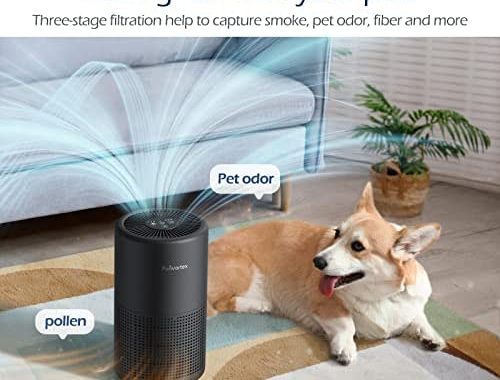 Amazon.com: Air Purifiers for Bedroom Home, H13 True HEPA Air Filter, 20db Quiet Air Purifier for Du