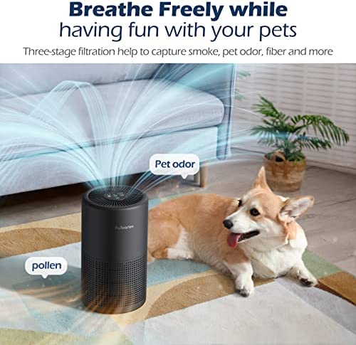 Amazon.com: Air Purifiers for Bedroom Home, H13 True HEPA Air Filter, 20db Quiet Air Purifier for Du