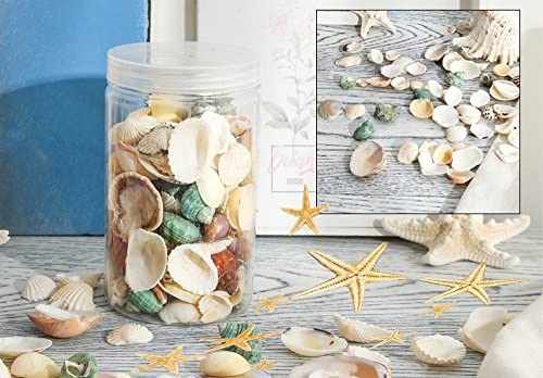 Amazon.com: Famoby Sea Shells Mixed Beach Seashells Starfish for Beach Theme Party Wedding Decoratio