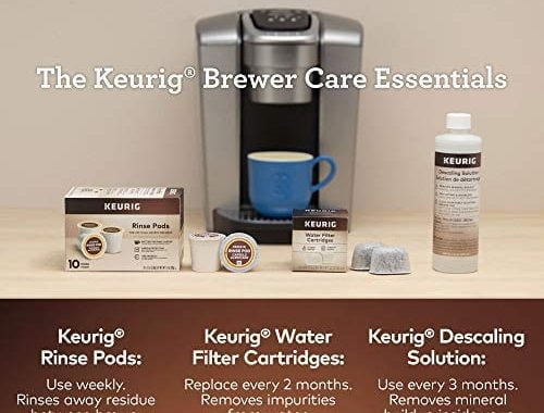 Amazon.com: Keurig 3-Month Brewer Maintenance Kit Includes Descaling Solution, Water Filter Cartridg