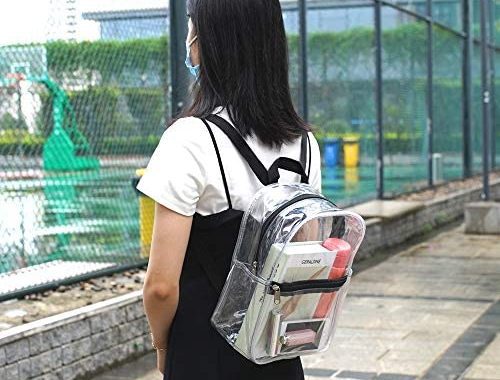 Amazon.com: Stadium Approved Clear Mini Backpack, Heavy Duty Cold-Resistant Transparent PVC Backpack