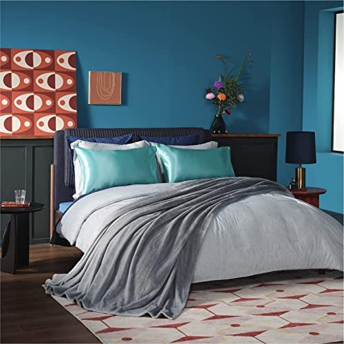 Bedsure Fleece Bed Blankets Queen Size Grey - Soft Lightweight Plush Fuzzy Cozy Luxury Blanket Micro