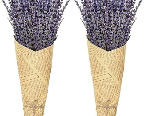 Timoo Dried Lavender Bundles 100% Natural Dried Lavender Flowers for Home Decoration, Photo Props, H