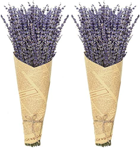 Timoo Dried Lavender Bundles 100% Natural Dried Lavender Flowers for Home Decoration, Photo Props, H