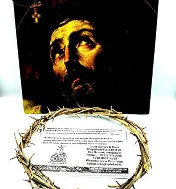 Amazon.com: Jerusalem Authentic Biblical Lifesize Real Crown of Thorns with Box & Zuluf Certific