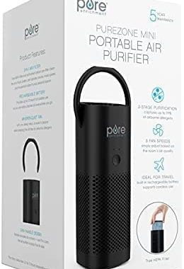 Amazon.com: Pure Enrichment PureZone Mini Portable Air Purifier - True HEPA Filter Cleans Air, Helps