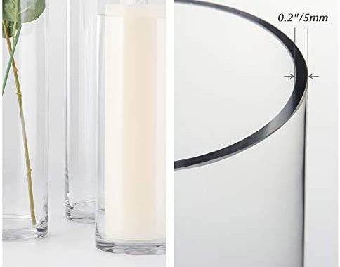 WGV Tall Cylinder Glass Vase, 3" W x 16" H, [Multiple Sizes Choices] Clear Bud Candle Holder Planter