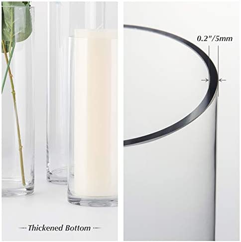 WGV Tall Cylinder Glass Vase, 3" W x 16" H, [Multiple Sizes Choices] Clear Bud Candle Holder Planter