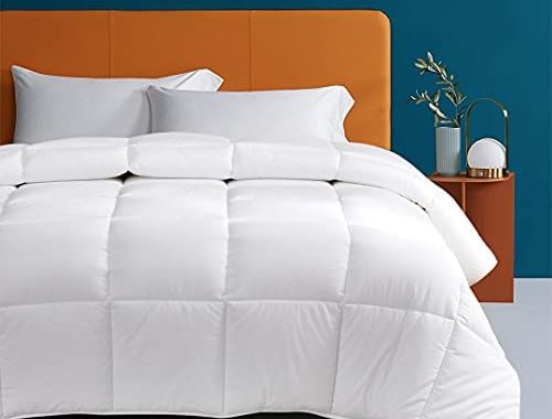 Oaken-Cat 100% Cotton Cover Down Alternative Comforter Queen - All Season Ultra-Soft Skin-Friendly C