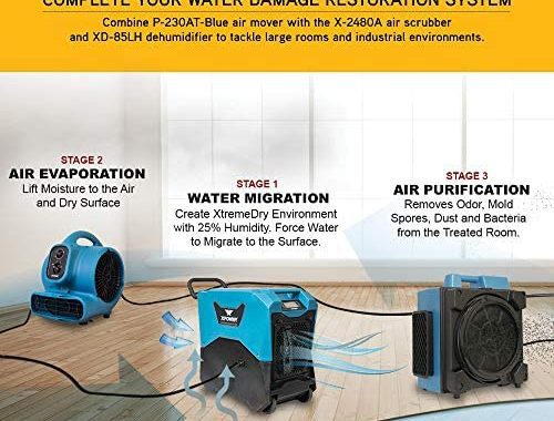Amazon.com: XPOWER P-230AT Mini Mighty 1/4 HP 925 CFM Centrifugal Air Mover, Carpet Dryer, Floor Fan