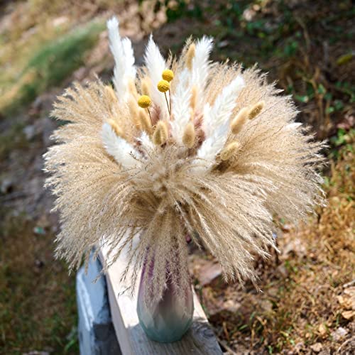 Dried Pampas Grass Boho Decor - 85 Pieces 17.5" Natural Fluffy Dried Flowers for DIY Decor Birthday