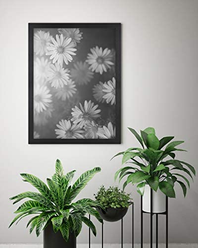 Amazon.com - MCS Studio Gallery Frame, Black Woodgrain, 18 x 24 in Collage, Single -