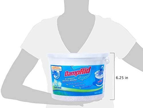 Amazon.com: DampRid Fresh Scent Moisture Absorber 4 lb. Hi-Capacity Bucket, 2-Pack - For Fresher, Cl