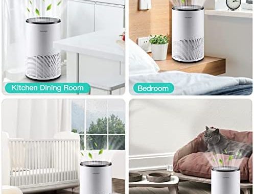 Amazon.com: Air Purifiers for Home, RealMade H13 True HEPA Air Filter, Up to 538 sq. ft Coverage, Sm