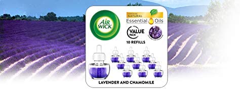 Amazon.com: Air Wick Plug in Scented Oil Refill, 10ct, Lavender & Chamomile, Air Freshener, Esse