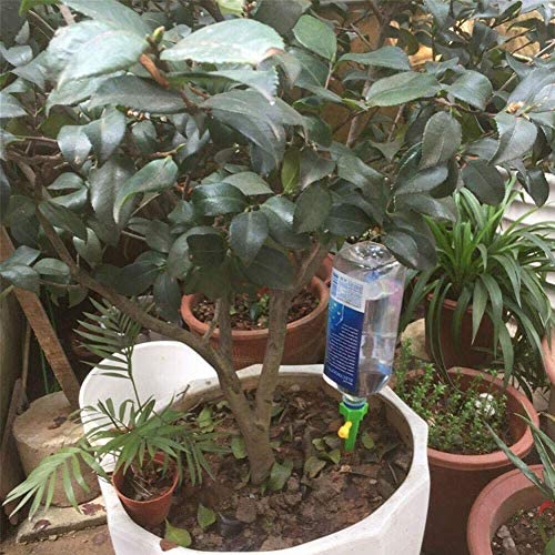 Amazon.com: AUSUKY 12 Pcs Automatic Plant Watering Spike Device with Slow Release Control Valve Swit
