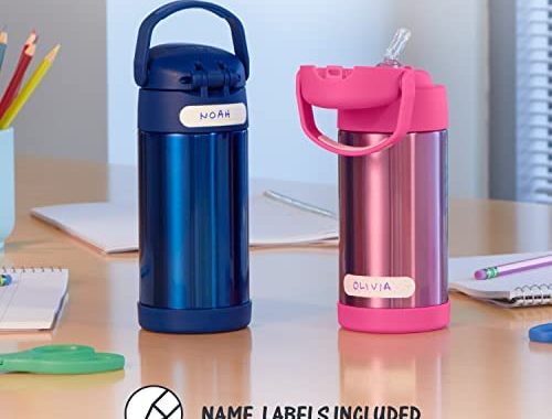 Amazon.com: THERMOS FUNTAINER 12 Ounce Stainless Steel Vacuum Insulated Kids Straw Bottle, Frozen 2: