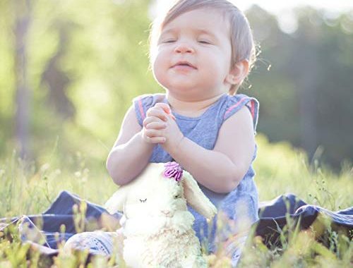 Amazon.com : Tickle & Main, Everybunny Prays - Baby and Toddler Gift Set with Praying Musical Bu