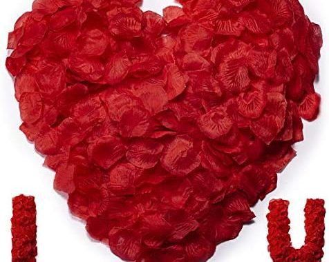 Amazon.com: HongyiTime 1200 PCS Artificial Silk Rose Petals Decoration for Romantic Night, Wedding,