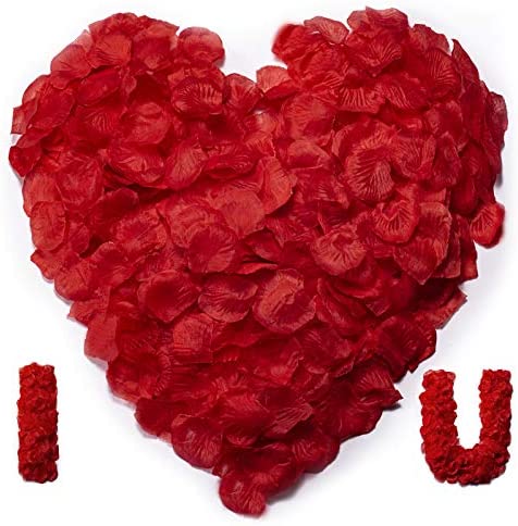 Amazon.com: HongyiTime 1200 PCS Artificial Silk Rose Petals Decoration for Romantic Night, Wedding,