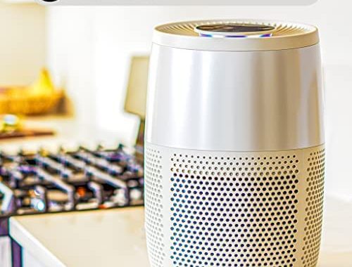Instant HEPA Quiet Air Purifier, From the Makers of Instant Pot with Plasma Ion Technology for Rooms