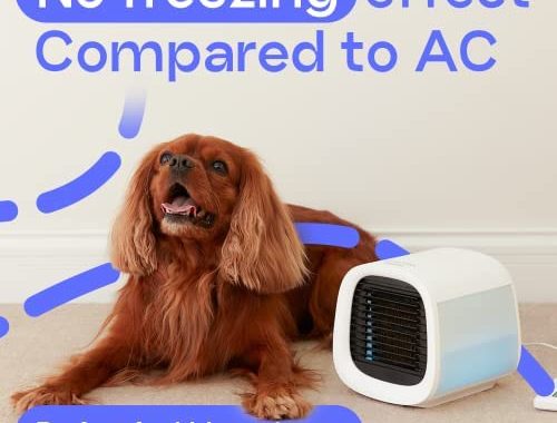 Evapolar evaCHILL Portable Conditioner Small Personal Evaporative Air Cooler and Humidifier Fan Mini