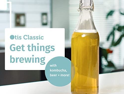 Amazon.com: Otis Classic Swing Top Glass Bottles - Set of 6, 16oz w/ Marker & Labels - Clear Bot