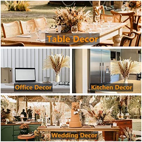 Amazon.com: 10 Stems 46" inch White Pampas Grass Decor Tall, Large Pompas Grass, Boho Neutral Home D