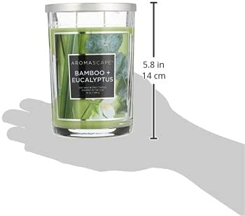 Amazon.com: Aromascape PT41900 2-Wick Scented Jar Candle, Bamboo & Eucalyptus, 19-Ounce, Green :