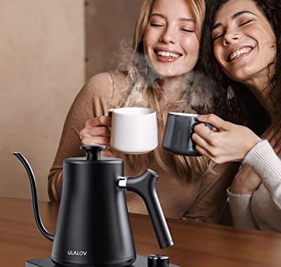 Ulalov Gooseneck Electric Kettle 1.0L with Temperature Control,Ultra Fast Boiling Hot Water Kettle f