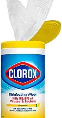 Amazon.com: Clorox Disinfecting Wipes, Bleach Free Cleaning Wipes, Multi-surface Wipes, Fresh Scent