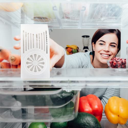 Amazon.com: NonScents Refrigerator Deodorizer (2-Pack) - Outperforms Baking Soda - Fridge and Freeze